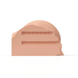 Shake Kim cross-section showing the two internal canals